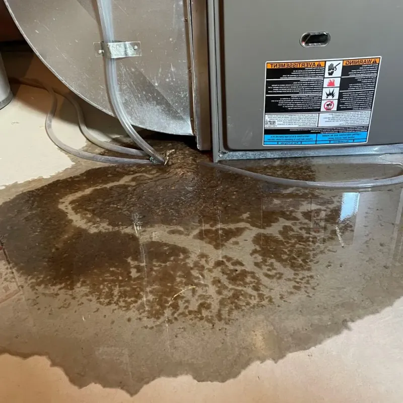 Pipe Burst and Leak Restoration in Archuleta County, CO
